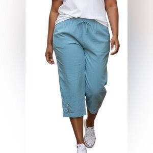 Jane Ashley Cropped Capri Pull On Pants Women 3X Blue Drawstring Embroidery Bead